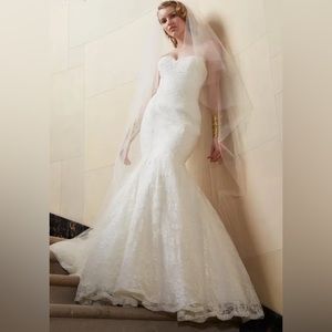 Wtoo 2014 spring collection wedding dress